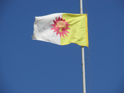 флаг 1 1